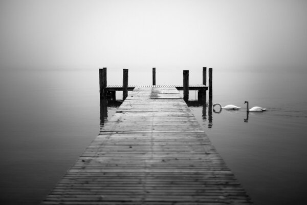 Foto monocromatica di un ponte e un lago con un paio di cigni