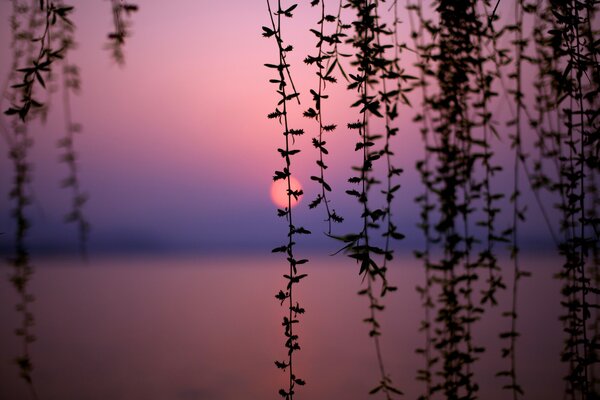 Hermoso lago al atardecer