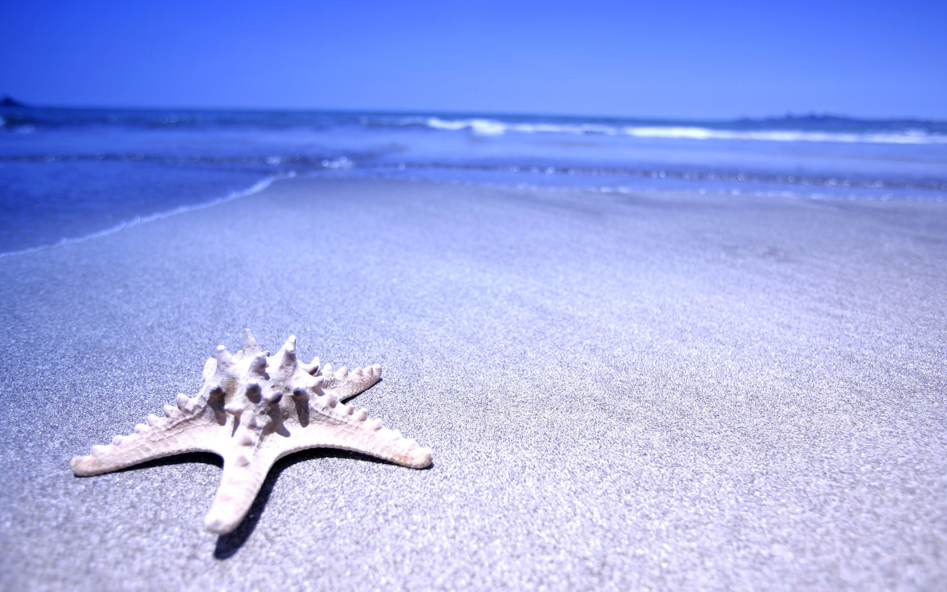 stern sand wasser meer