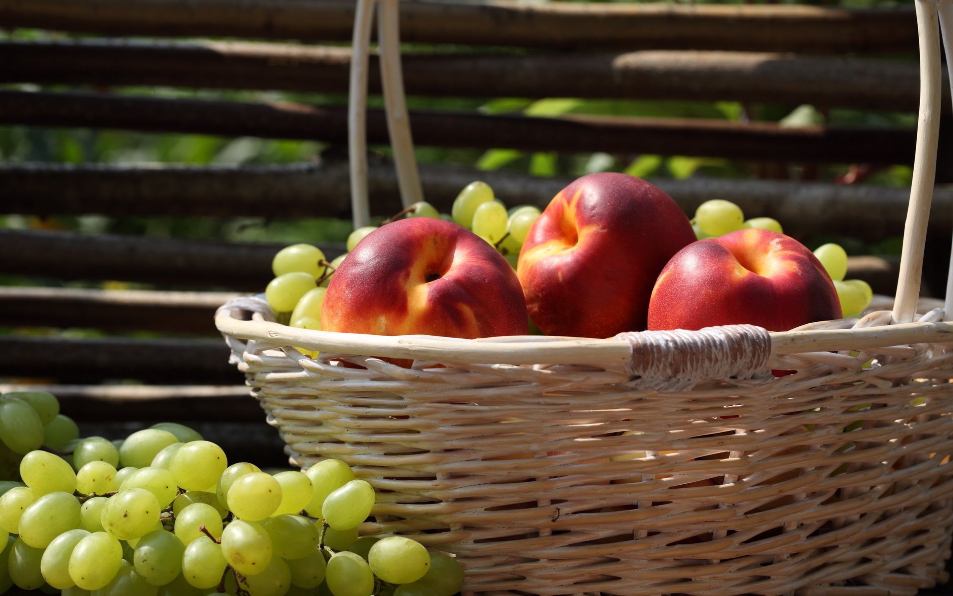 obst zaun trauben nektarine korb