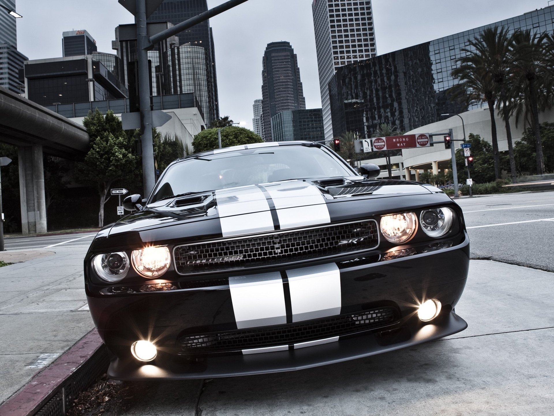 ausweichen ausweichen muscle car 392 muscle car challenger srt8 ausweichen srt8