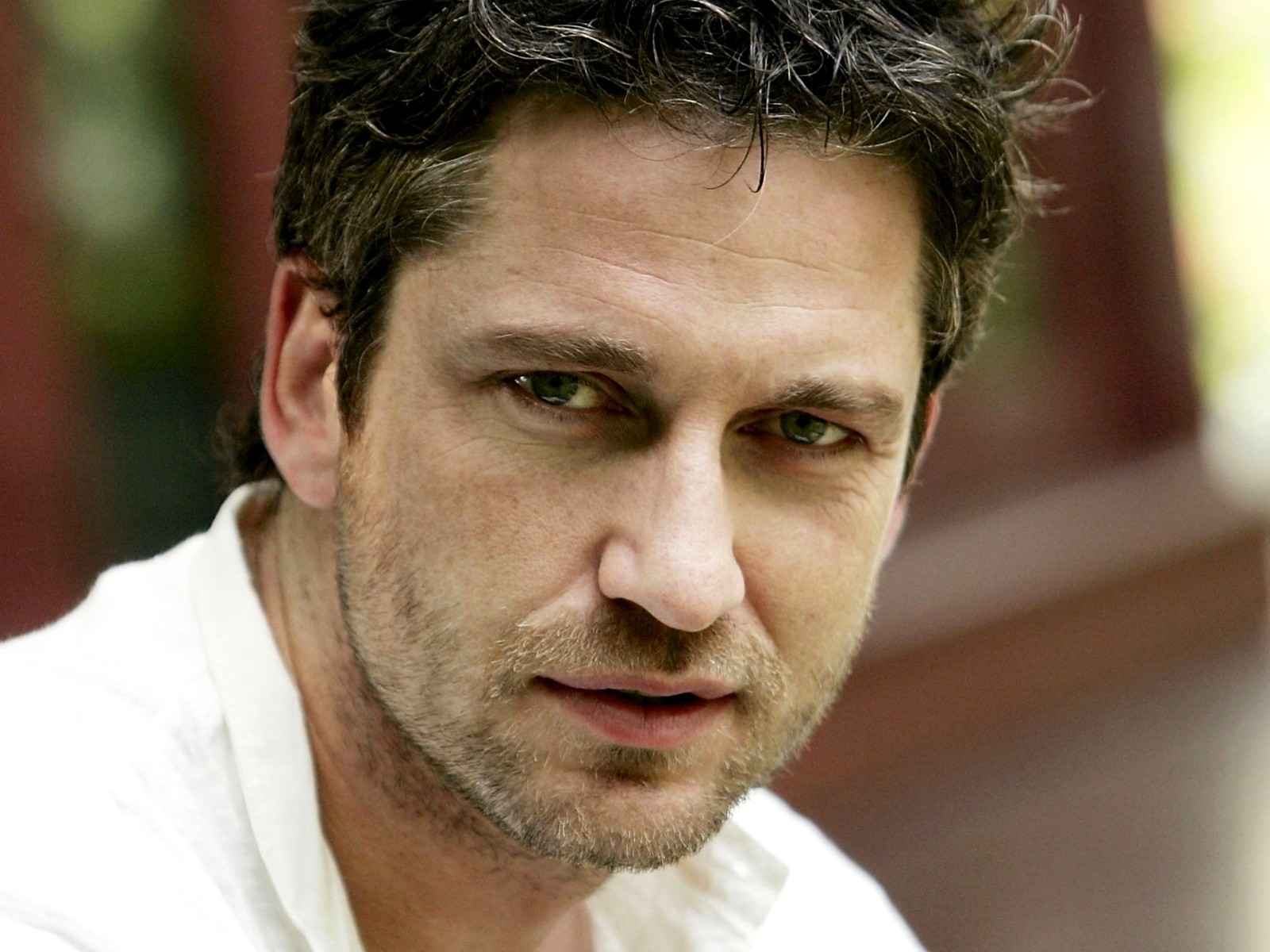 gerard butler actor men face eyes view bristle