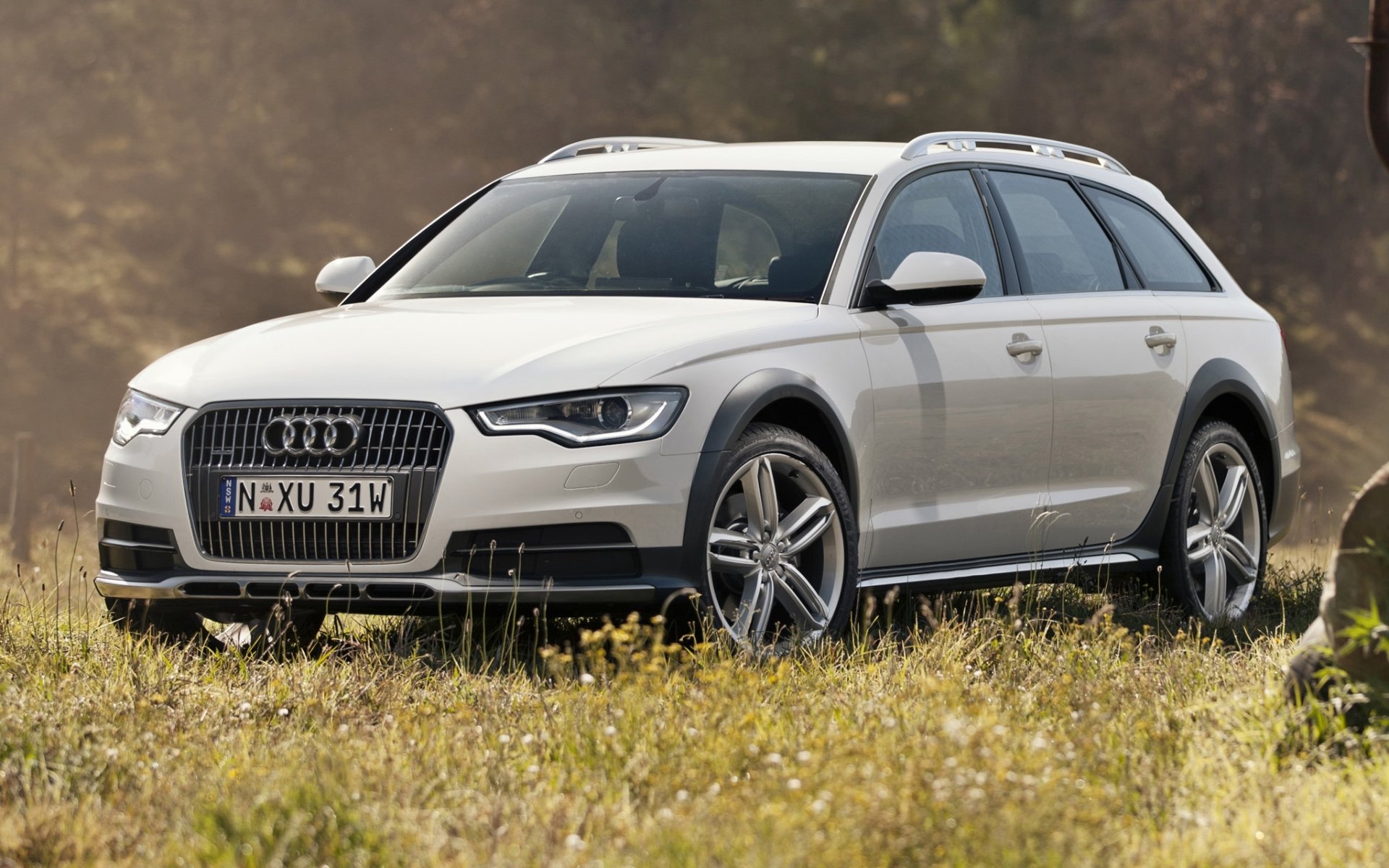 audi a6 allroad 3.0 tdi quattro audi allroad quattro kombi biały przód.trawa tło