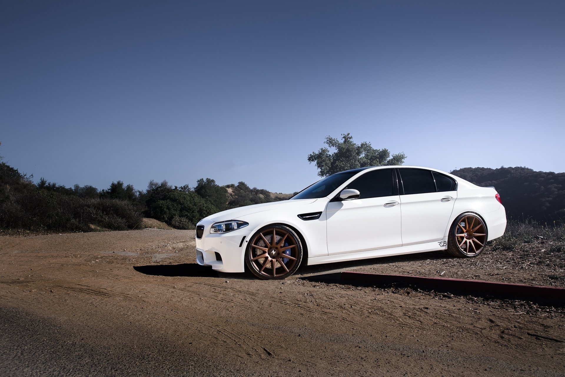 bmw m5 f10 blanco bmw sedán perfil llantas cielo sombra