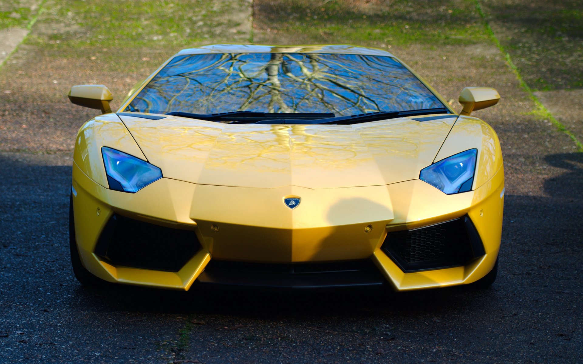 lamborghini aventador lp700-4 giallo lamborghini aventador anteriore riflessione ombra