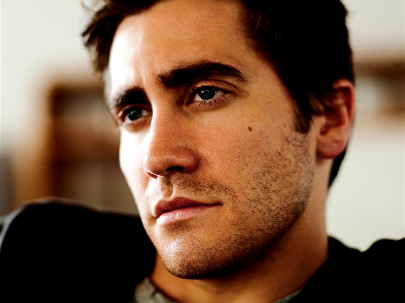 jake gyllenhaal männlich schauspieler gesicht borsten