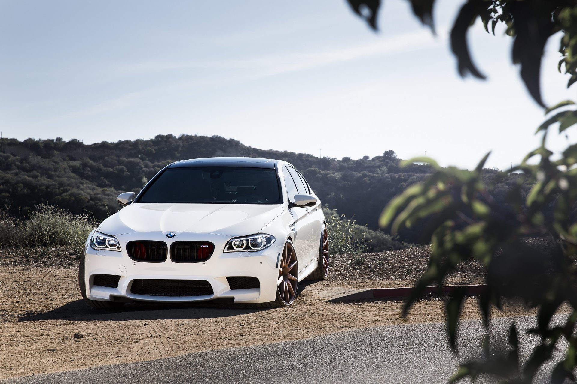 bmw m5 f10 blanco bmw vista frontal hojas