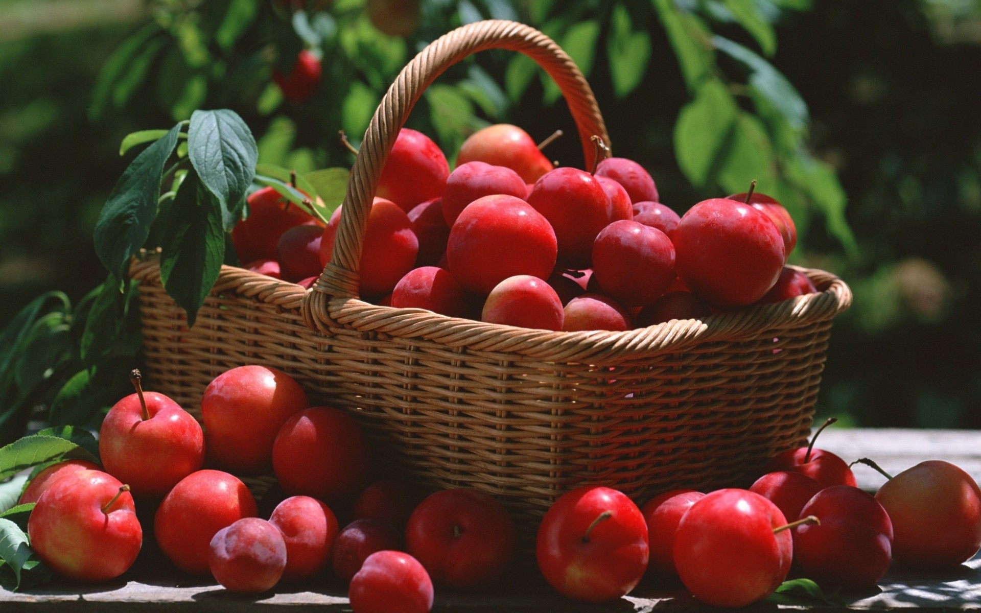 frutta fresco foglia cibo cestino