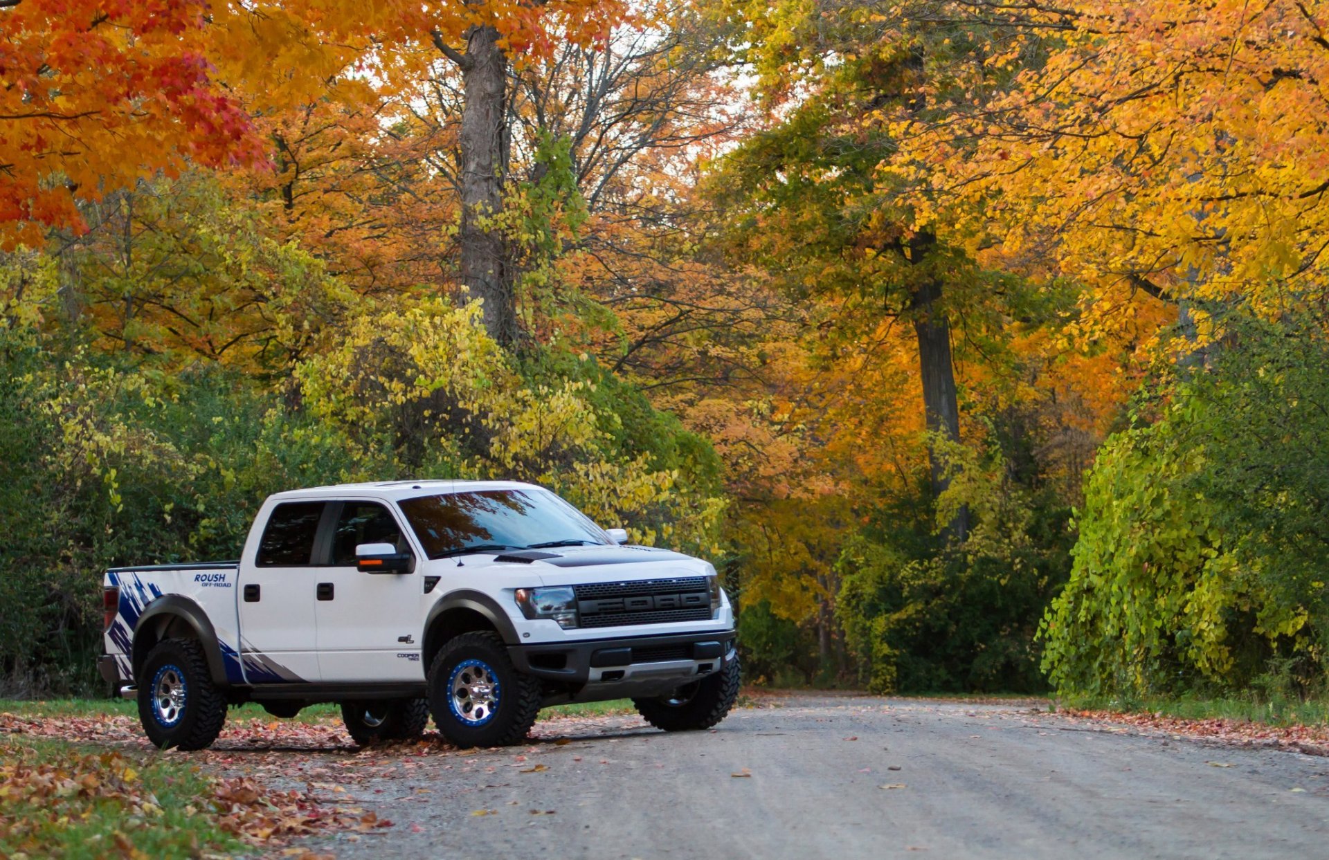 rausch ford f-150 svt raptor samochód drzewa tapety auto