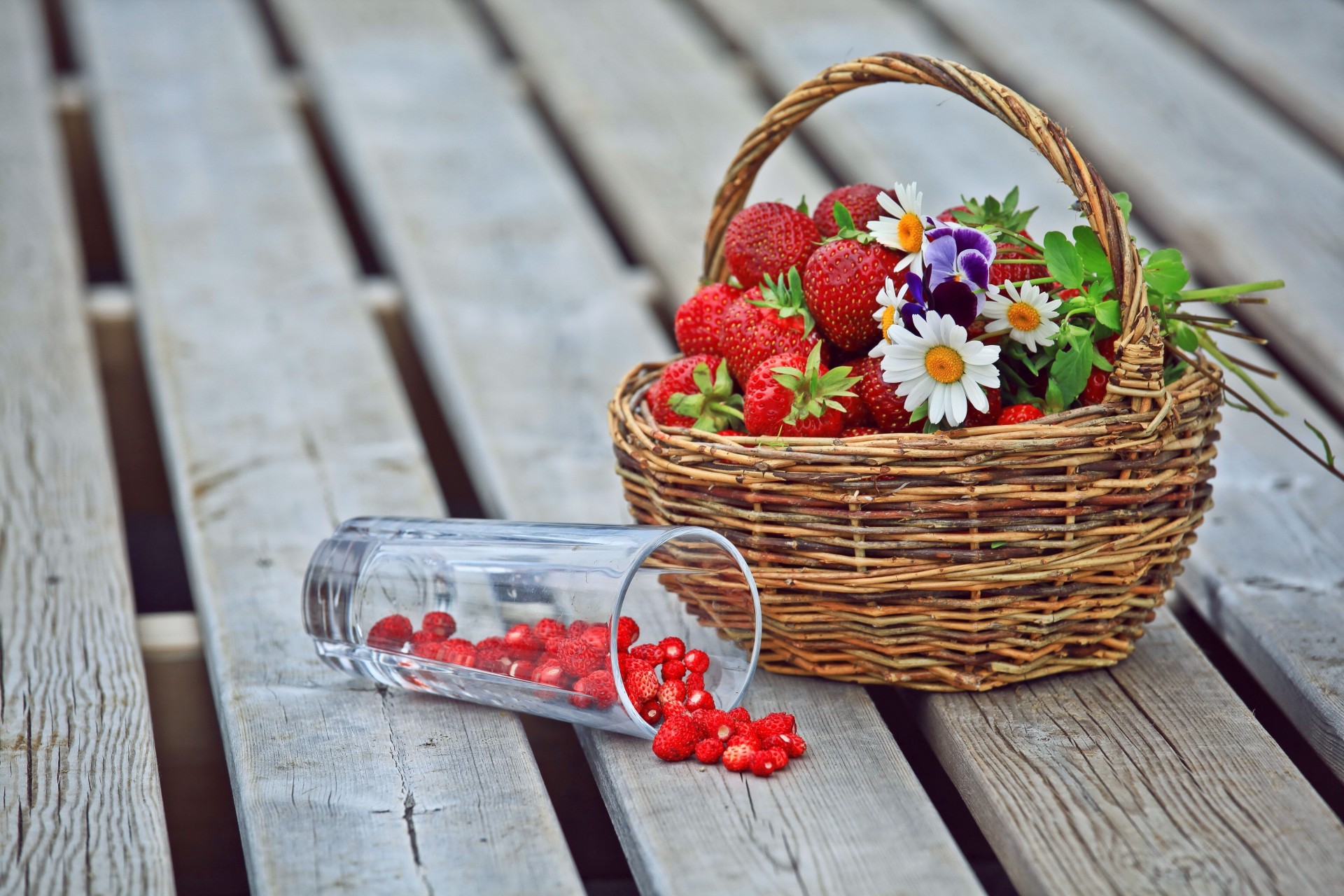 pensées fraise camomille baies fleurs shopping verre