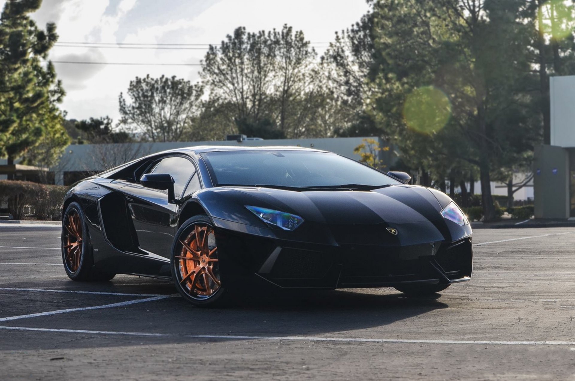 lamborghini aventador lp700-4 black lamborghini aventador front view shadow sky clouds tree