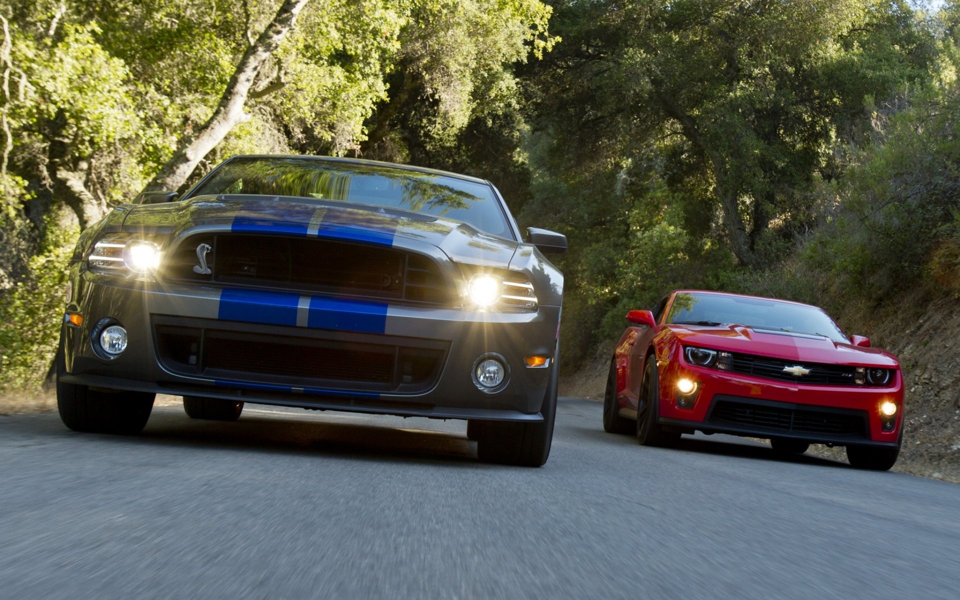 ford mustang shelby gt500 and chevrolet camaro zl1 muscle car muscle car front background