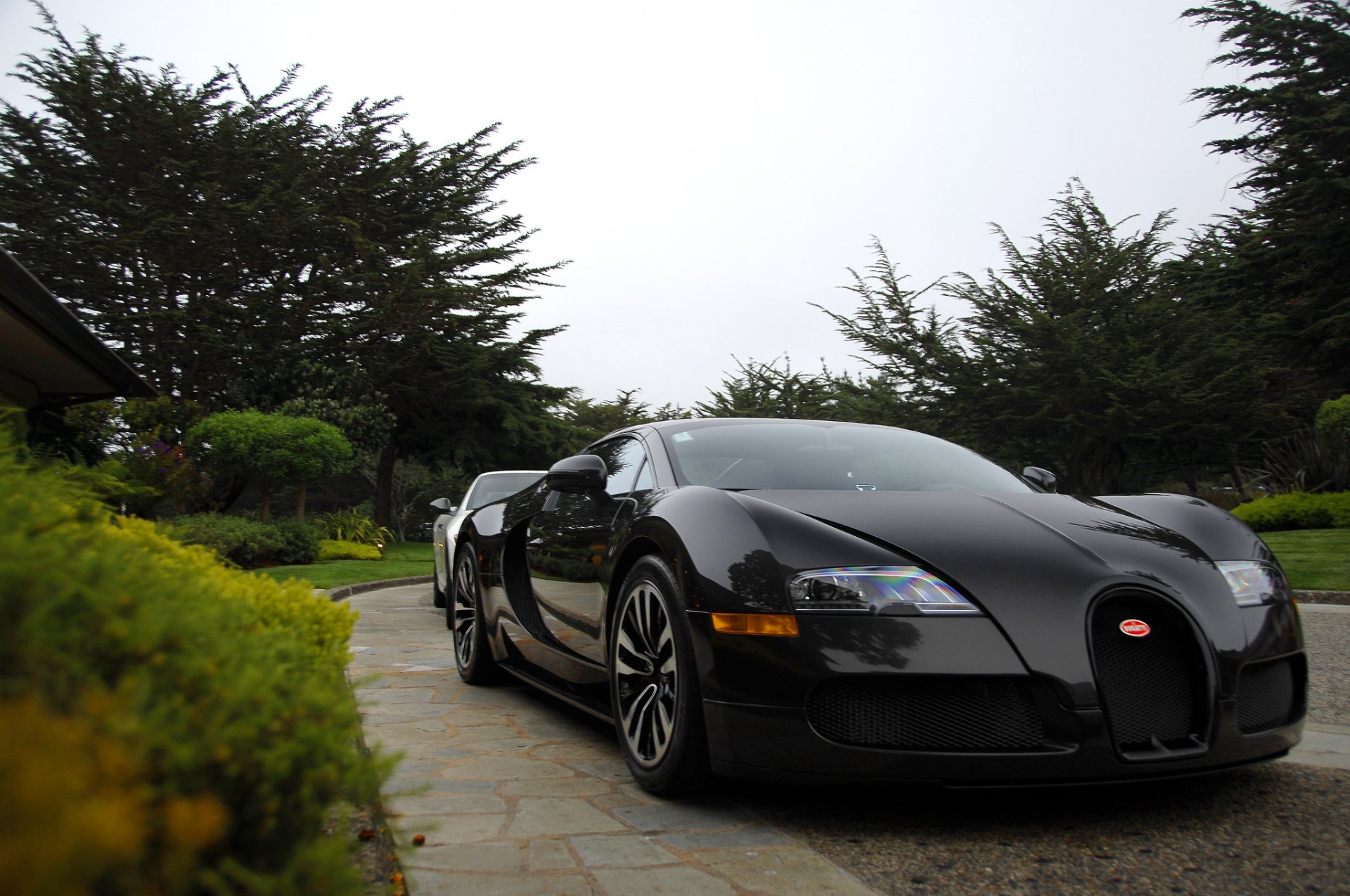 bugatti veyron parc