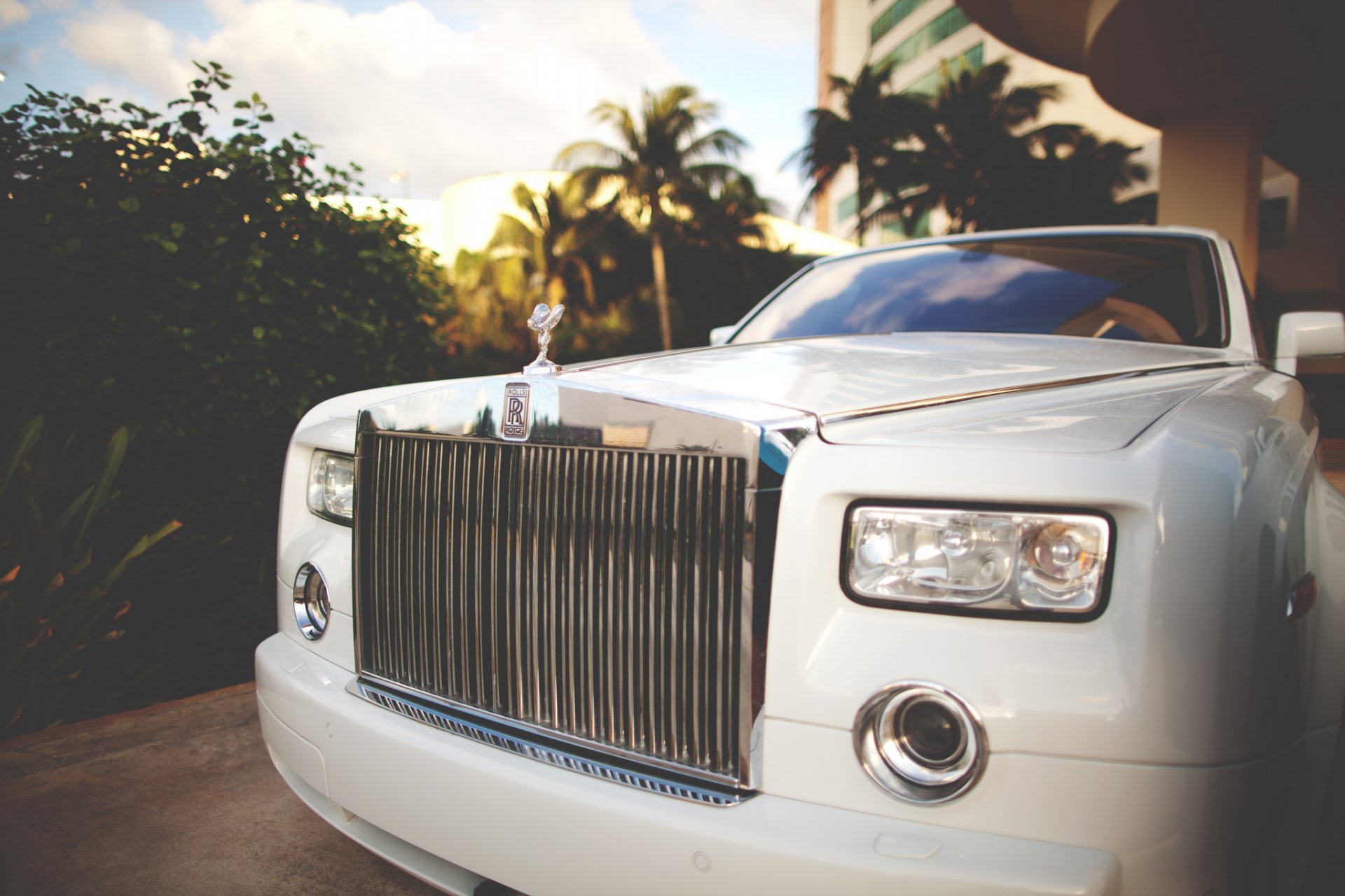 rolls royce phantom car prestige esotico bianco palme anteriore