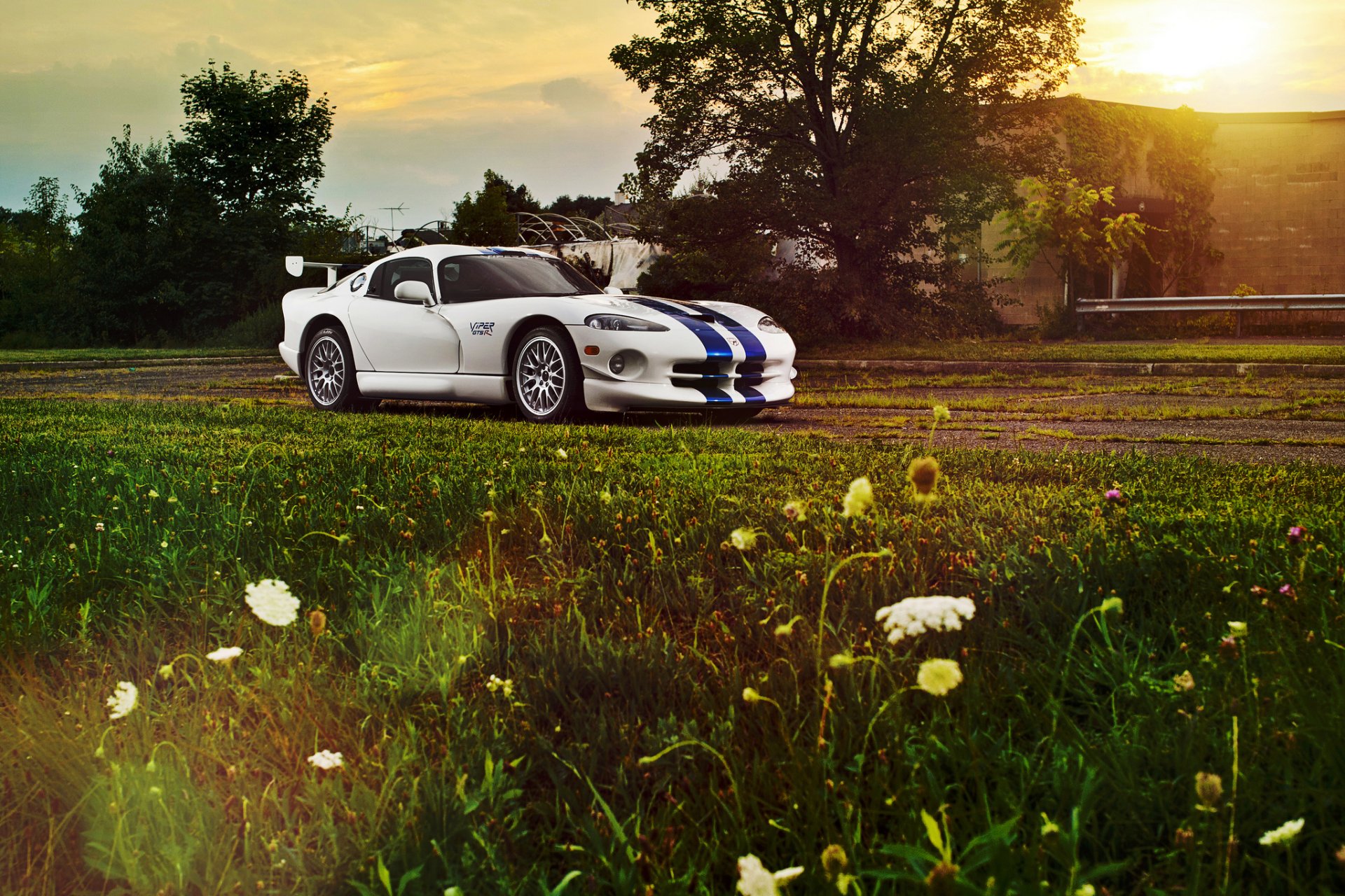 ausweichen viper gts g weiß bordstein blumen sonne blendung