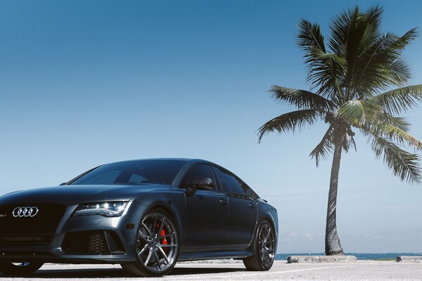 Parken eines luxuriösen Audi vor dem Hintergrund des blauen Himmels und der Palme