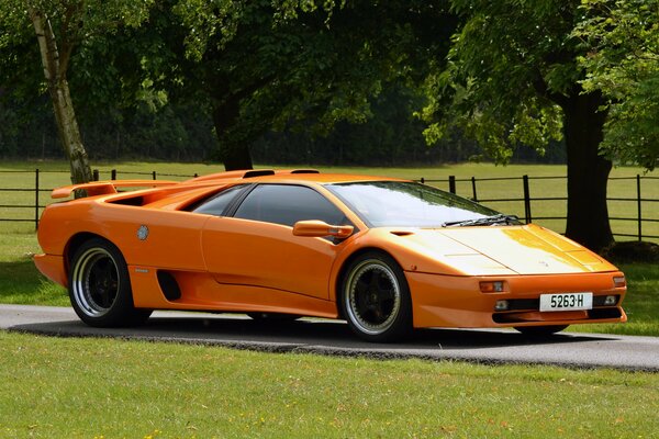 Ein orangefarbener Lamborghini diablo inmitten von Natur und Bäumen