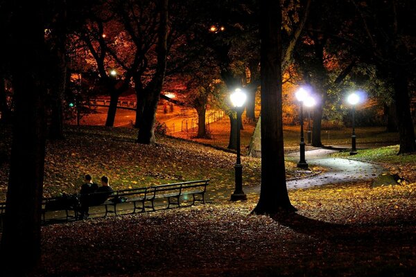 A night in New York. People on the bench