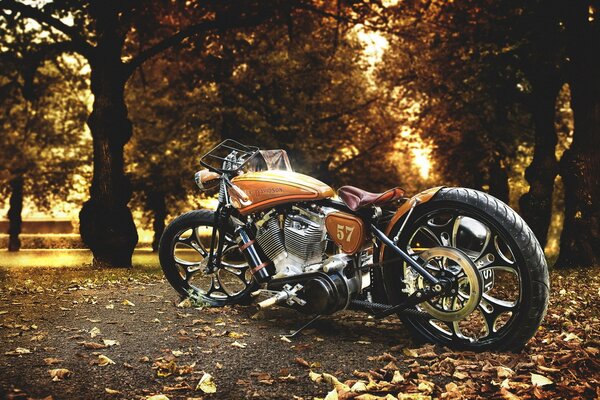 Motorcycle standing in the park, in the middle of the trees