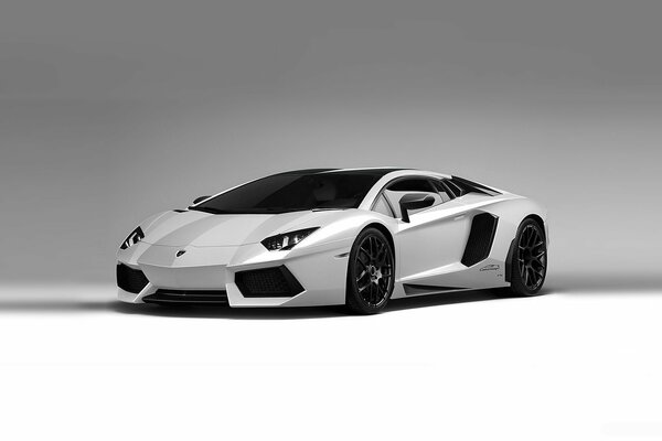 Lamborghini Aventador lp700-4 Bianco su sfondo grigio