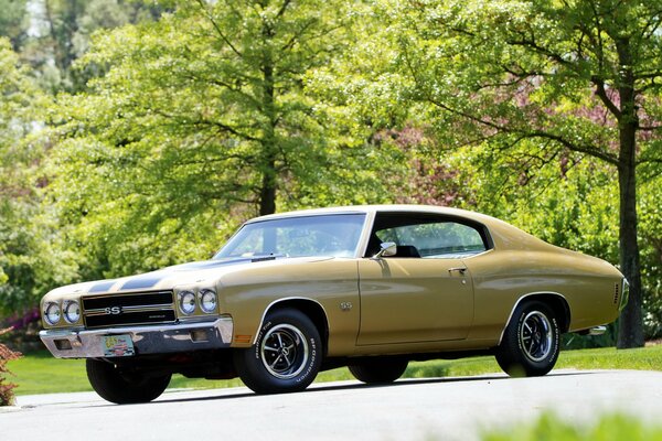 Old muscle car Chevrolet SS on the background of nature