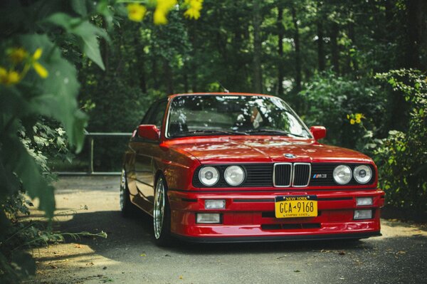 Red BMW in the green forest