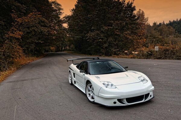 Honda Acura nsx blanc et noir sur fond de ciel d automne pré-commandé