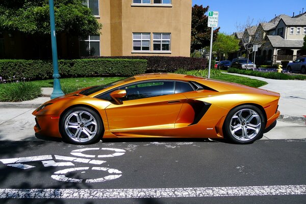 Gelber Lamborghini Aventador im Profil auf dem Rasen