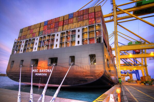 MSC Savona enorme buque en el muelle de portacontenedores