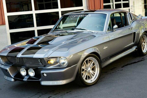 Ford Mustang. Estoy listo para la aventura