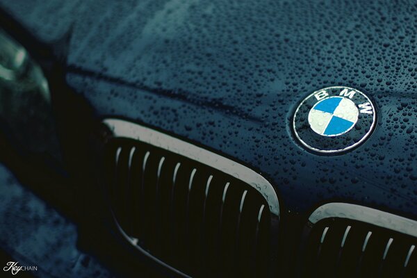 Logotipo de bmw en el capó con gotas de lluvia