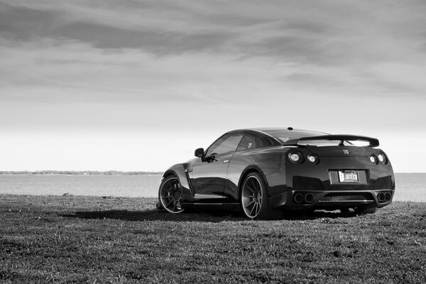 A black Nissan is standing on the grass