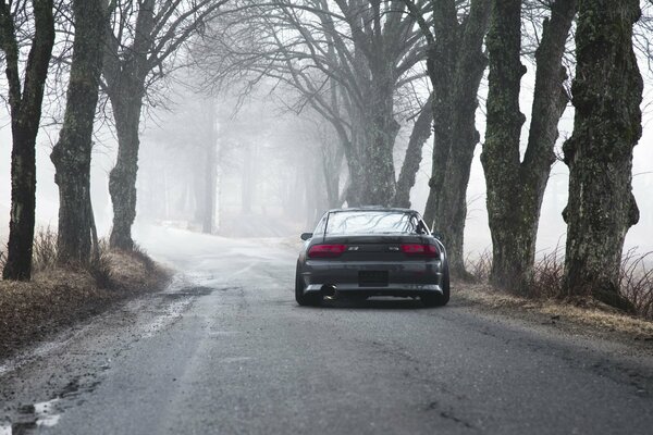 Nissan s13 im Waldnebel