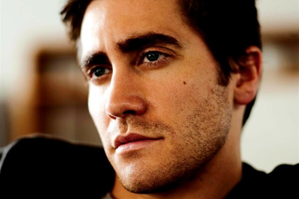 Nachdenklicher jake gyllenhaal mit borsten