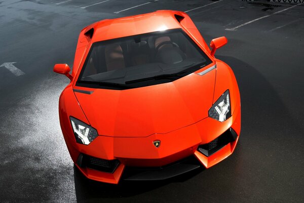 Velenoso arancione auto sportiva Aventador lp700-4