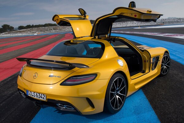 Mercedes tente de voler dans le ciel en agitant ses ailes comme un oiseau