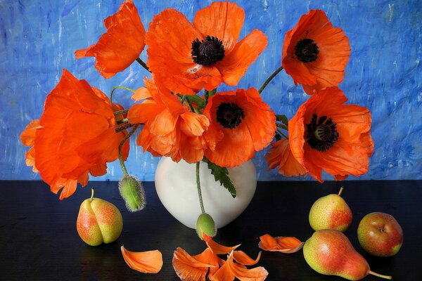 Schöne helle Mohnblumen in einer Vase auf blauem Hintergrund