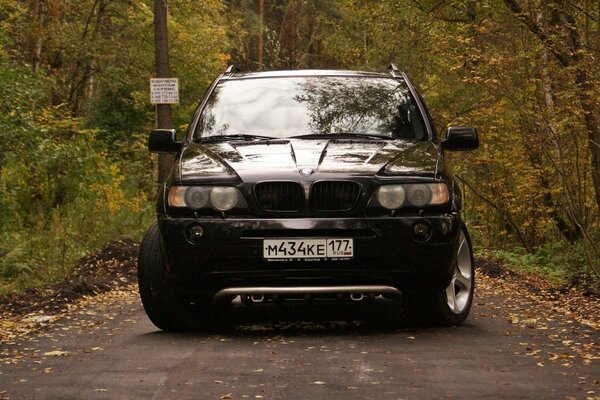 BMW im Herbst im Wald steht auf der Straße