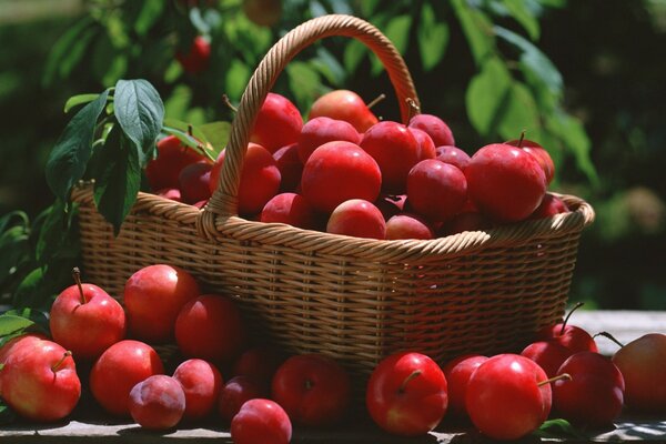 Mele rosse in un cesto di vimini