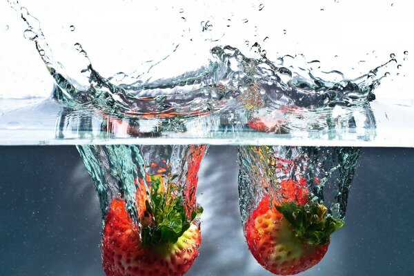 Fraises tombant dans l eau avec des éclaboussures