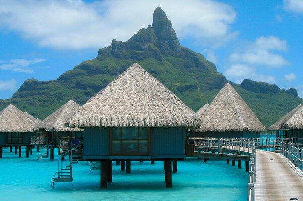 Resort houses on the ocean