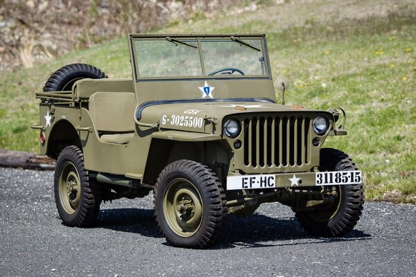 Military American Jeep Willis