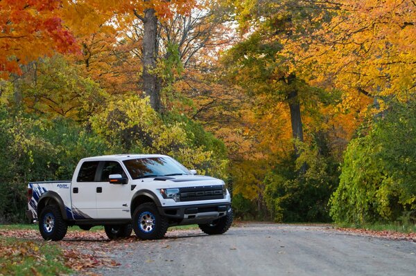 SUV in a broad-leaved lane by the road