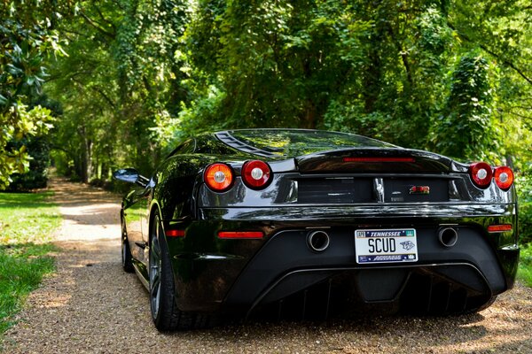 Schwarzer Ferrari f430 Scuderia auf Baumhintergrund