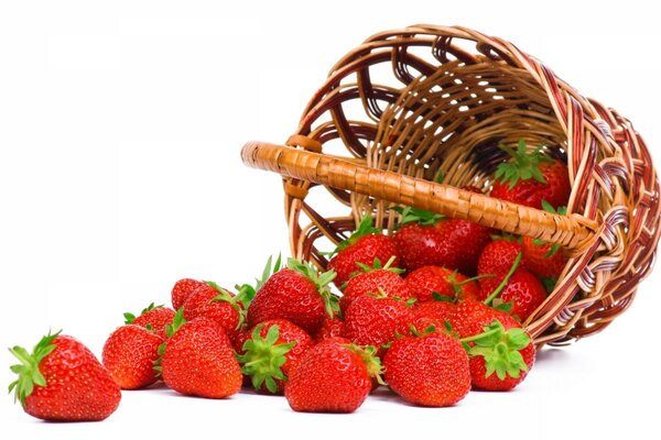 Wicker basket overturned with strawberries