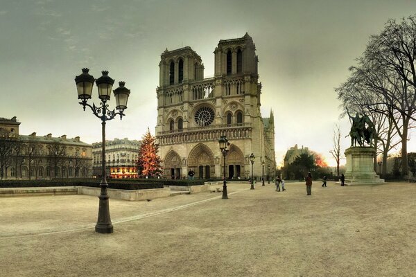 Katedra Notre Dame w Paryżu. Francja