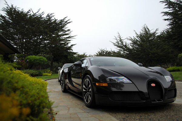 Foto de un Bugatti Veyron negro en el parque