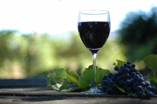 Una Copa de vino tinto sobre la mesa con un racimo de uvas azules