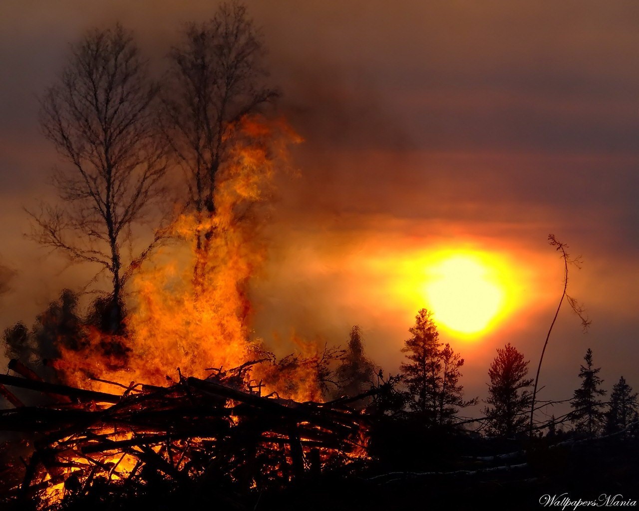 bonfire fire sun