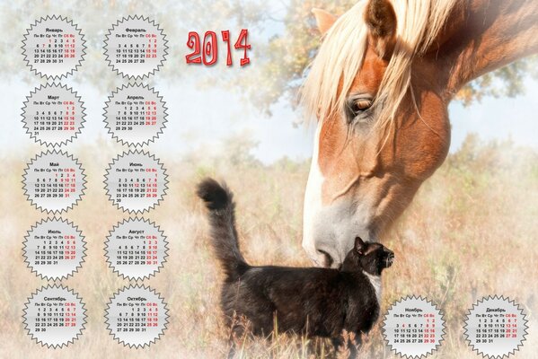 Kalender von zwei Katzen- und Pferdefreunden